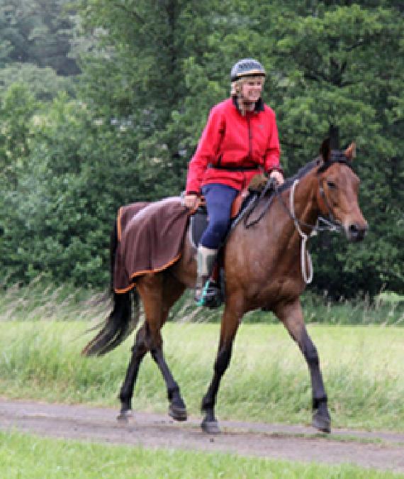 Bild von Christiane Schiele auf Pferd